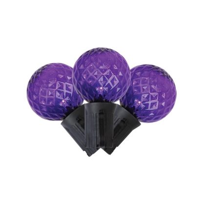 Celebrations G4025PL8A LED Halloween Lights, Purple