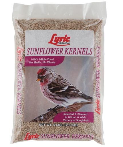 Lyric 26-47431 Sunflower Kernels Wild Bird Food, 5 lbs