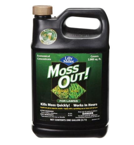 Lilly Miller 05601110 Moss Out For Lawns Gallon
