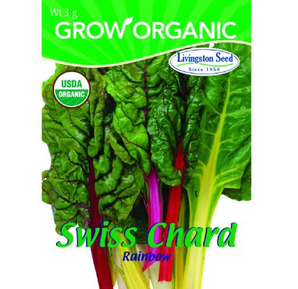 Livingston Seed Y7160 Swiss Chard Rainbow Plantation Vegetable, 3g