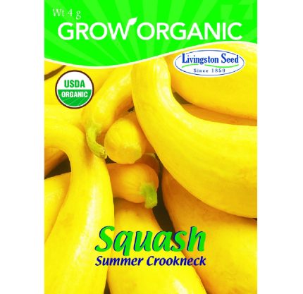 Livingston Seed Y7145 Squash Summer Crookneck Plantation Vegetable, 4g