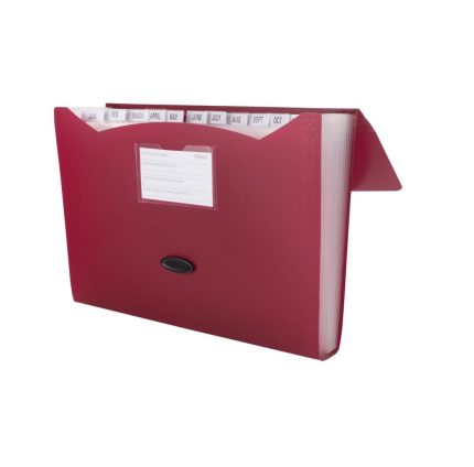 Mead 35902 File Organizer, Assorted Colors, Plastic
